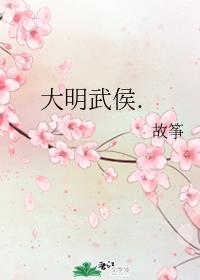 大明武侯.这本小说怎么样