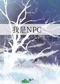 npc指的是什么人