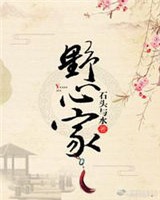 野心家在无限游戏