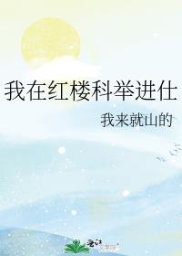 我在红楼科举进仕张星玥