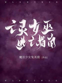 亡灵巫师小说