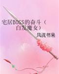 宅居BOSS的奋斗(白发魔女) 小说