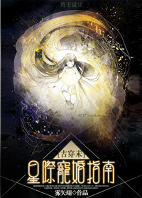 星际宠婚全本