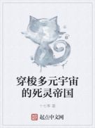 穿越死灵法师小说