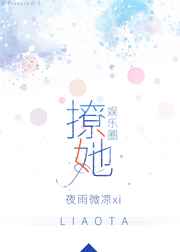 撩她 小说