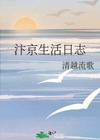 汴京生活日志完结版