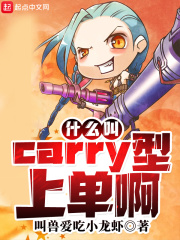 什么叫carry型上单啊最新